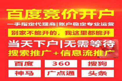 百度竞价SEM深度解析：某行业成功推广经验